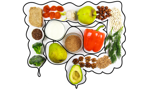 fiber aids digestion semaglutide Fiber, Digestion, & Weight Loss: How to Maximize Success