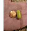 Metabolic Web Store MRC Internal Cleanser Supplement is a green pill slightly larger than a penny